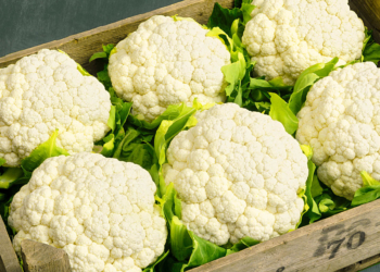 Cauliflower: once unpopular, now everyone wants a piece of it