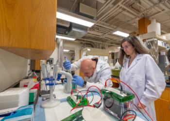 Michigan State University named top 10 agriculture college in new report