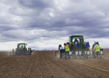 Market and Crop Update for March 25, 2021