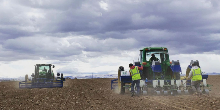 Market and Crop Update for March 25, 2021