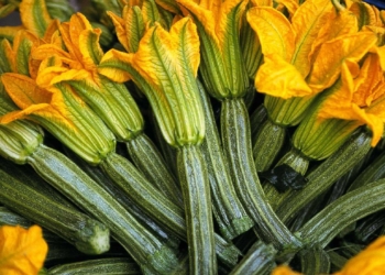 Increasing interest in light green courgettes