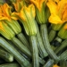 Increasing interest in light green courgettes