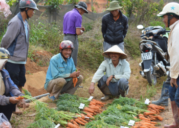 BEJO’S SUPPORT FOR SMALLHOLDER FARMERS