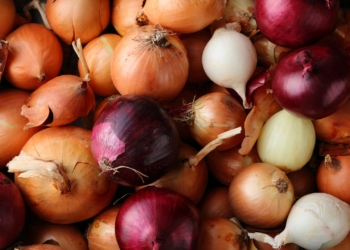 Onion market analysis of the EU, Central Asia, the Caucasus and Eastern Europe