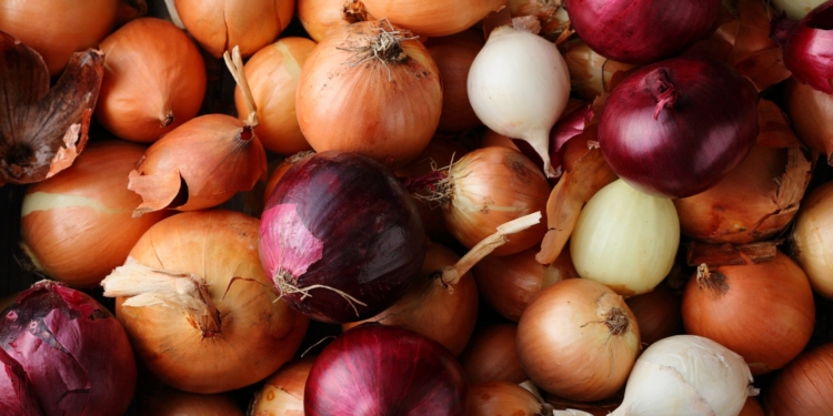Onion market analysis of the EU, Central Asia, the Caucasus and Eastern Europe