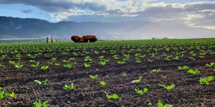 Feeding Our World and Our Future
