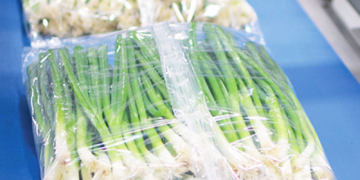 New packaging technology enables sea freight for every fresh produce product