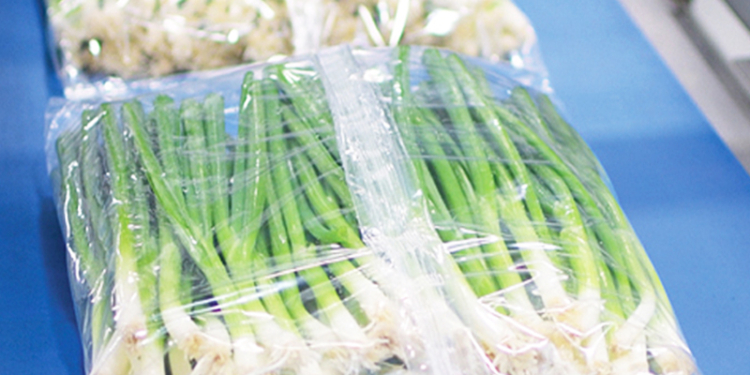 New packaging technology enables sea freight for every fresh produce product