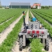 Trabotyx receives 460.000 euro in funding to bring its farming robot to market