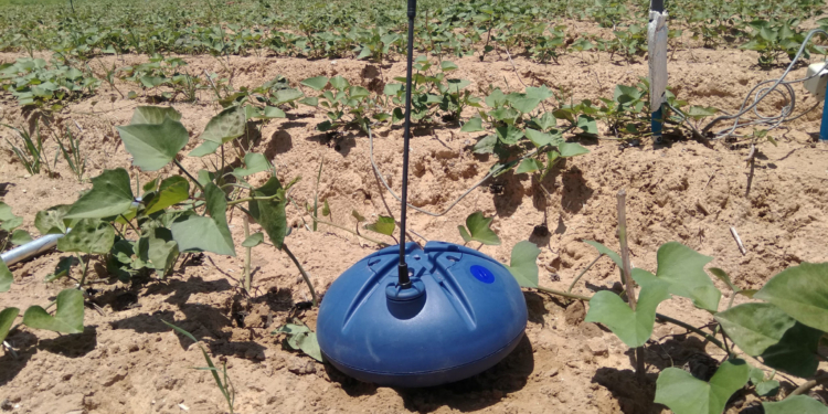 Why Israel is leading global agricultural technology