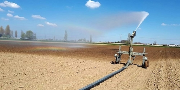 Emilia Romagna: irrigation is drought alarm