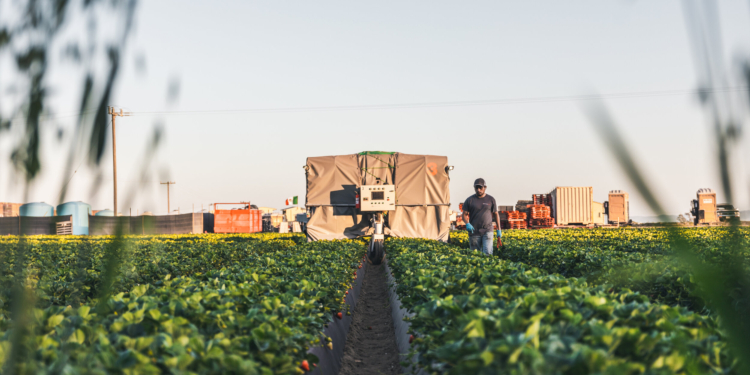 13 innovation companies for first harvest automation cohort