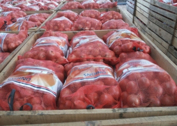Shipping costs account 60% of the price of onions exported from China to Europe