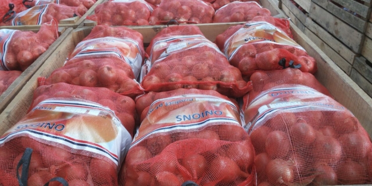 Shipping costs account 60% of the price of onions exported from China to Europe