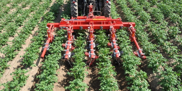 Mechanically controlling weeds means looking ahead