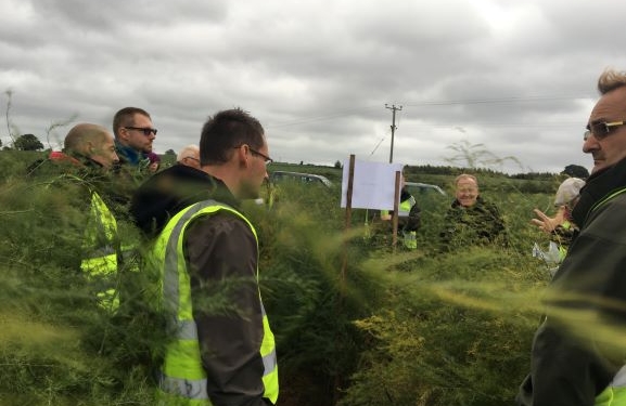 Best management practices for asparagus