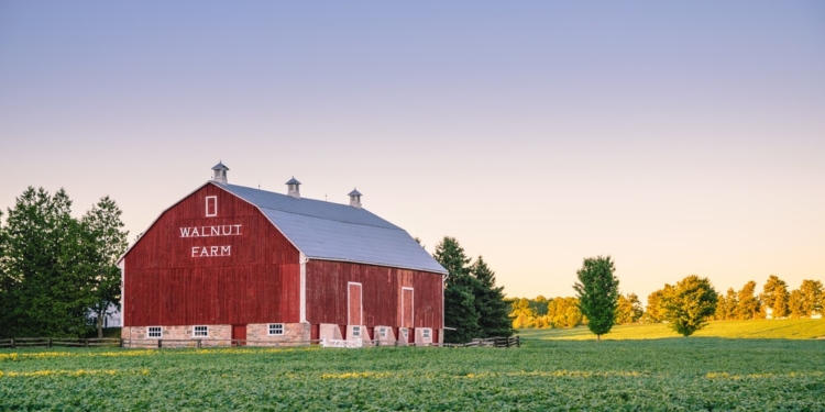 Who are today’s American vegetable growers? This survey digs deep