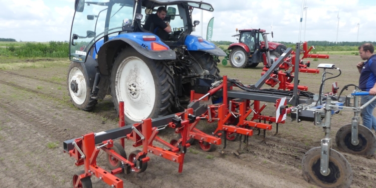 Hoeing demo in seeding onions shows that details matter