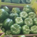 Polish open field capsicum season started