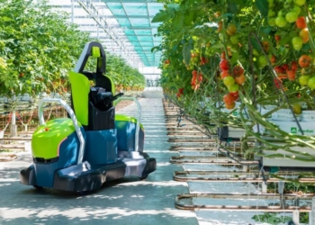 Innovative tomato pruning robot can work all day in greenhouses