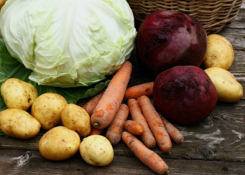 More than 77 thousand tons of vegetables harvested in the Orenburg region