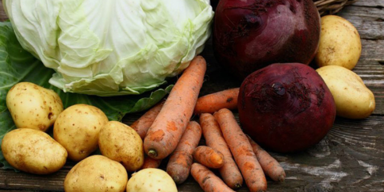 More than 77 thousand tons of vegetables harvested in the Orenburg region