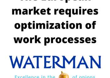 The European market requires optimization of work processes
