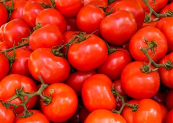 2 cases of detection of brown wrinkle virus of tomato fruits in Belarusian exports
