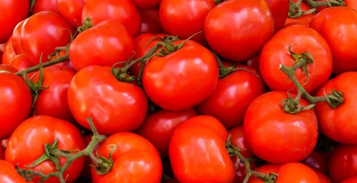 2 cases of detection of brown wrinkle virus of tomato fruits in Belarusian exports