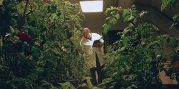 For the first time, Martian ketchup was obtained from tomatoes on the soil-imitation of the red planet