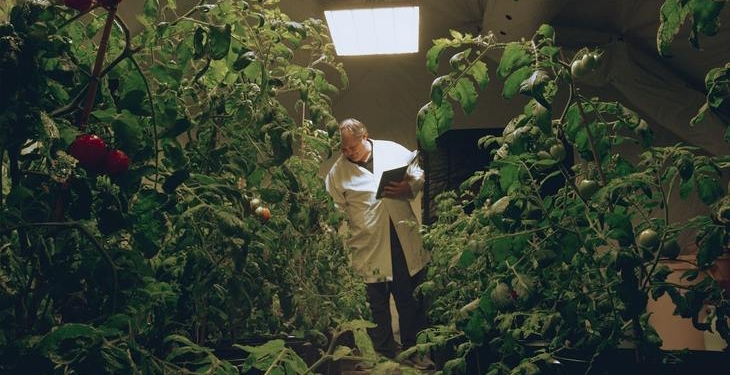 For the first time, Martian ketchup was obtained from tomatoes on the soil-imitation of the red planet