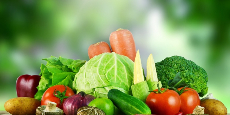 Three thousand tons of vegetables are planned to be harvested in Saratov greenhouses by the end of the year