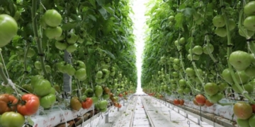 Growing better, together.