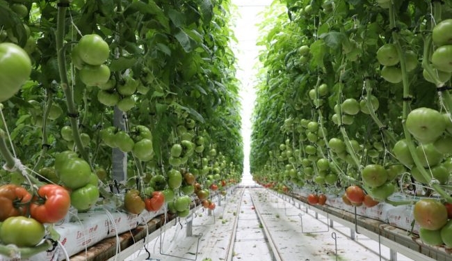 Growing better, together.