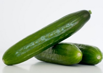 “Mini-cucumbers are already reaching the shelves of many European supermarkets”