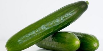“Mini-cucumbers are already reaching the shelves of many European supermarkets”