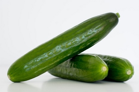 “Mini-cucumbers are already reaching the shelves of many European supermarkets”