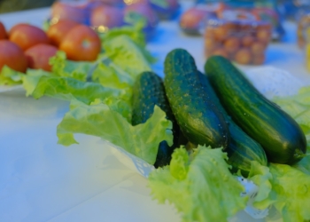More than 90 thousand tons of vegetables have been harvested in greenhouses of the Moscow region since the beginning of the year