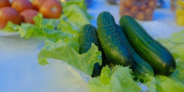 More than 90 thousand tons of vegetables have been harvested in greenhouses of the Moscow region since the beginning of the year