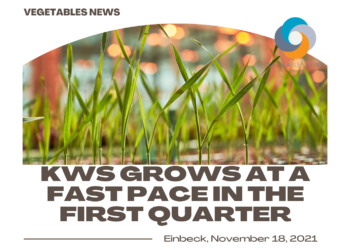 KWS grows at a fast pace in the first quarter