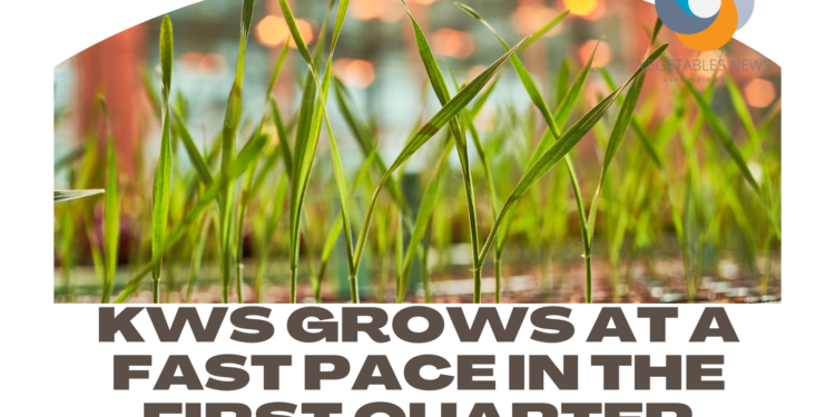 KWS grows at a fast pace in the first quarter