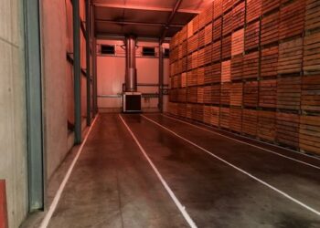 “Price increases of €4 to 5 per 100kg would be necessary to cover costs”