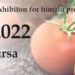 Tomato Days Turkey