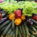 The Kaliningrad region continues to increase the production of greenhouse vegetables