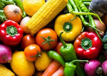 177 million rubles will be allocated in the Moscow region for the production of vegetables