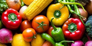 177 million rubles will be allocated in the Moscow region for the production of vegetables