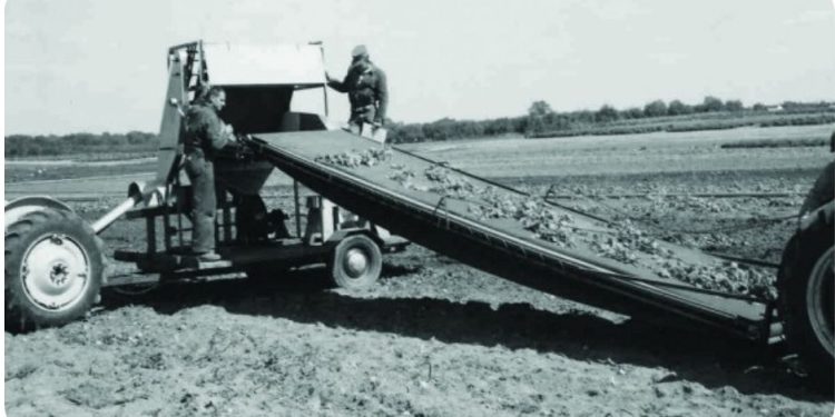 Ag engineer Dale Marshall played key role in developing harvest equipment