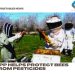 App helps protect bees from pesticides