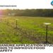 Manure application study aims to improve food safety