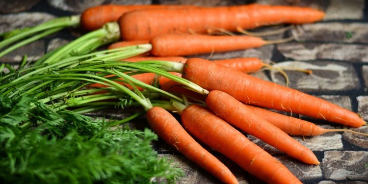 Carrot Farming (Organic), Techniques, Tips and Ideas